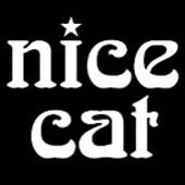 Nice Cat